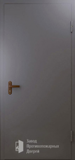 Фото двери «Техническая дверь №1 однопольная» в Чехову