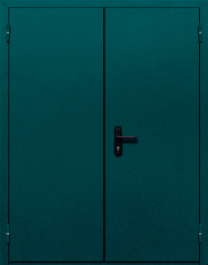 Фото двери «Двупольная глухая №36» в Чехову